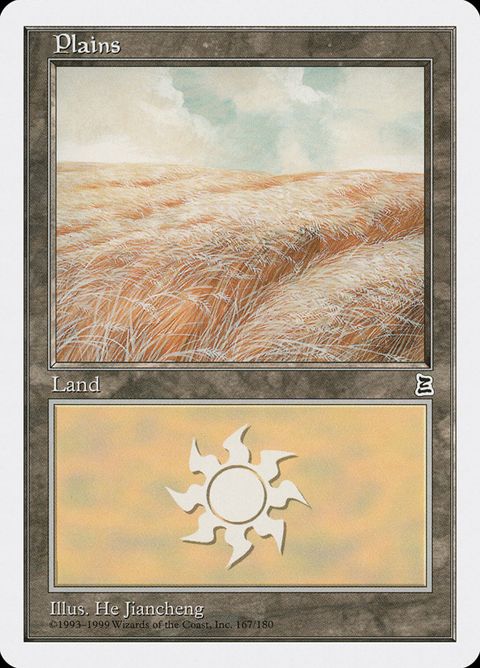167-plains.jpg