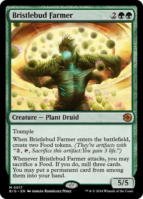 17-bristlebudfarmer.jpg
