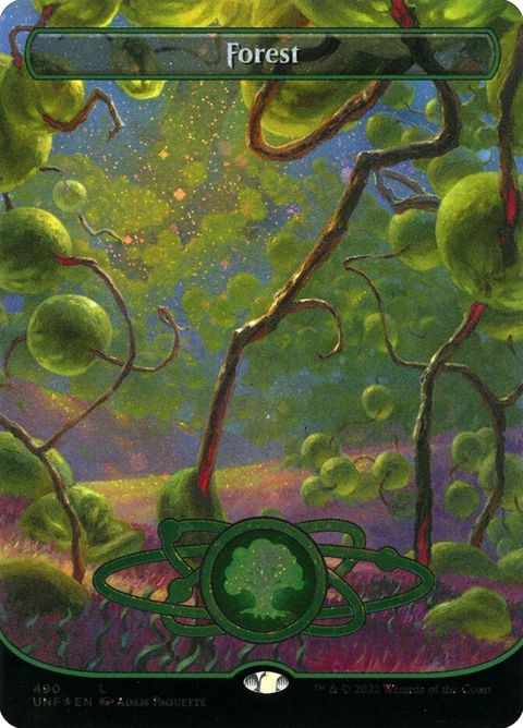 490-forest.jpg