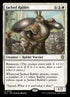 9-jackedrabbit