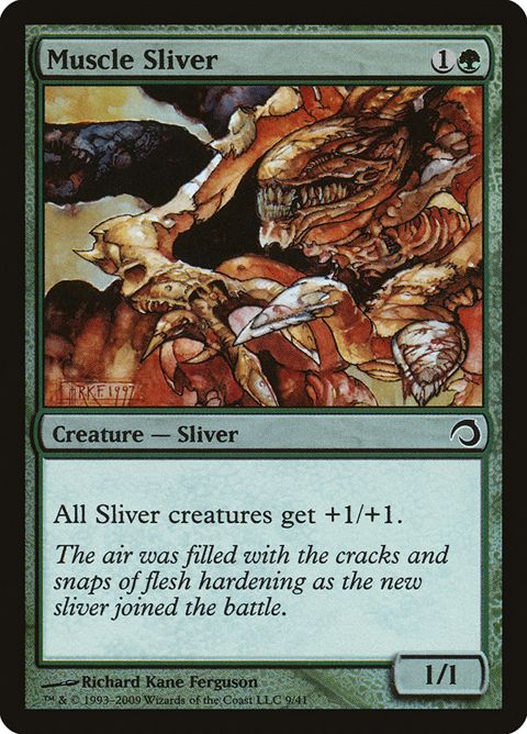 9-musclesliver.jpg