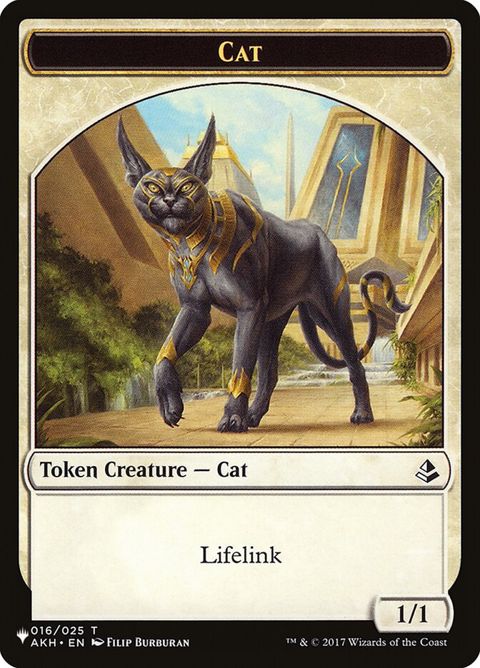 takh-16-cat.jpg