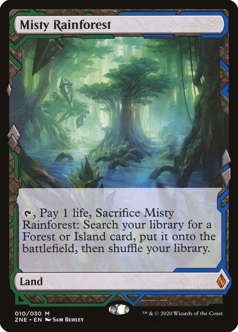 10-mistyrainforest.jpg