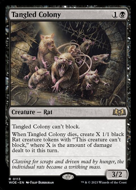 113-tangledcolony.jpg