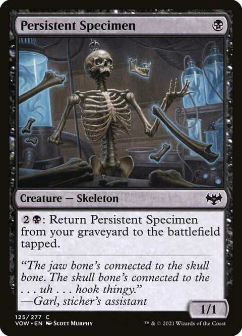 125-persistentspecimen.jpg