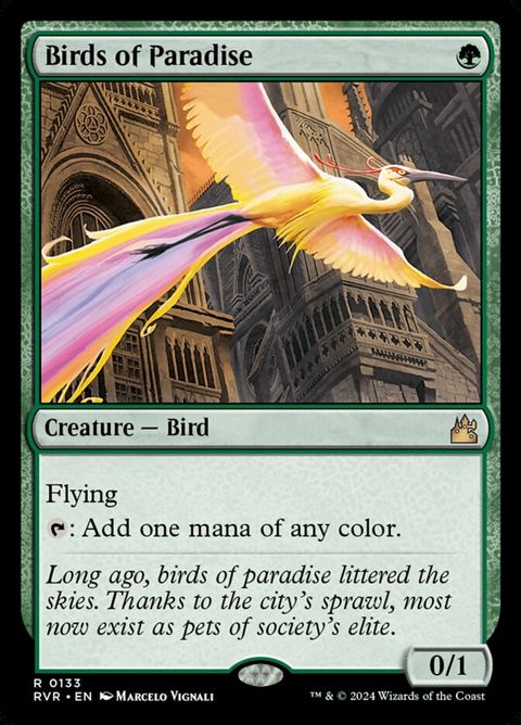 133-birdsofparadise.jpg