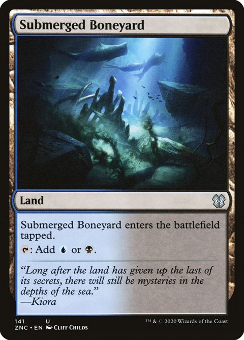 141-submergedboneyard.jpg