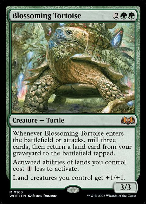 163-blossomingtortoise.jpg