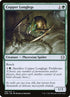 165-copperlonglegs.jpg