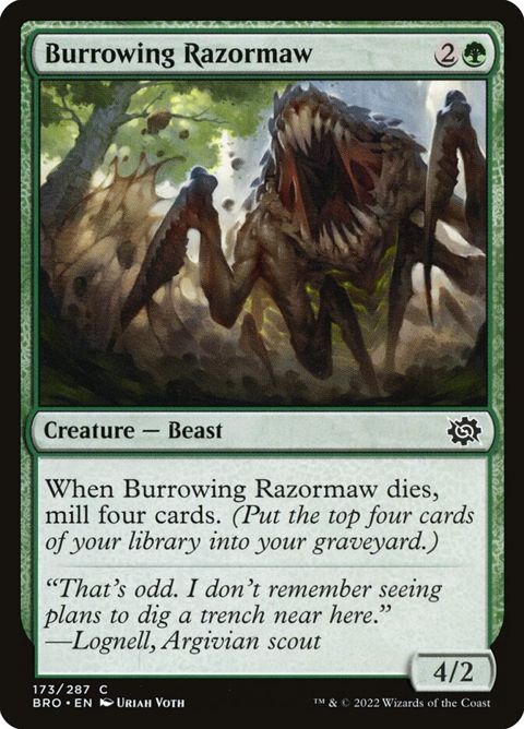 173-burrowingrazormaw.jpg
