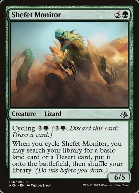186-shefetmonitor.jpg