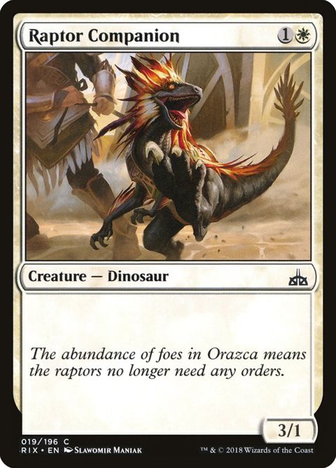 19-raptorcompanion.jpg