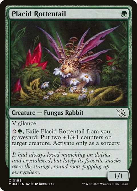 199-placidrottentail.jpg