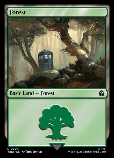 204-forest.jpg