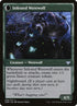 206-infestationexpertinfestedwerewolf-a.jpg