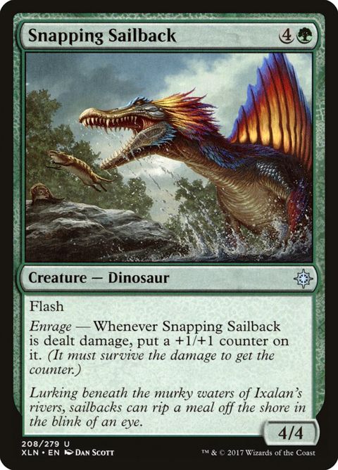 208-snappingsailback.jpg