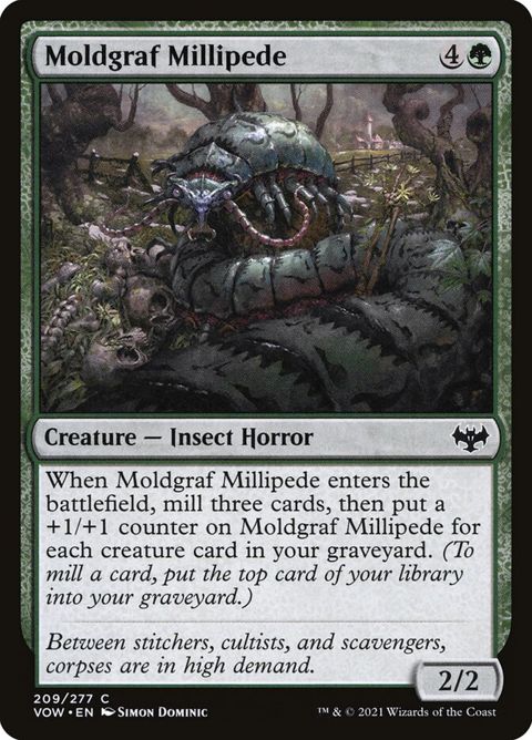 209-moldgrafmillipede.jpg