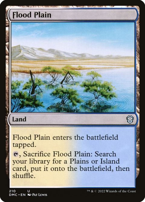 210-floodplain.jpg