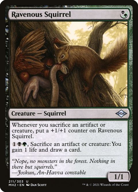 211-ravenoussquirrel.jpg