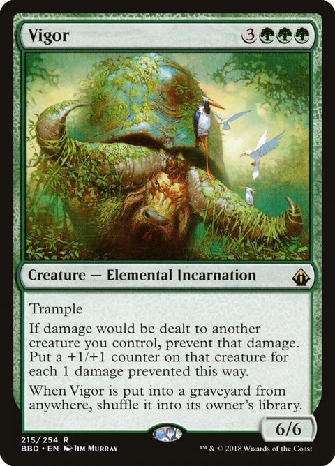 215-vigor.jpg