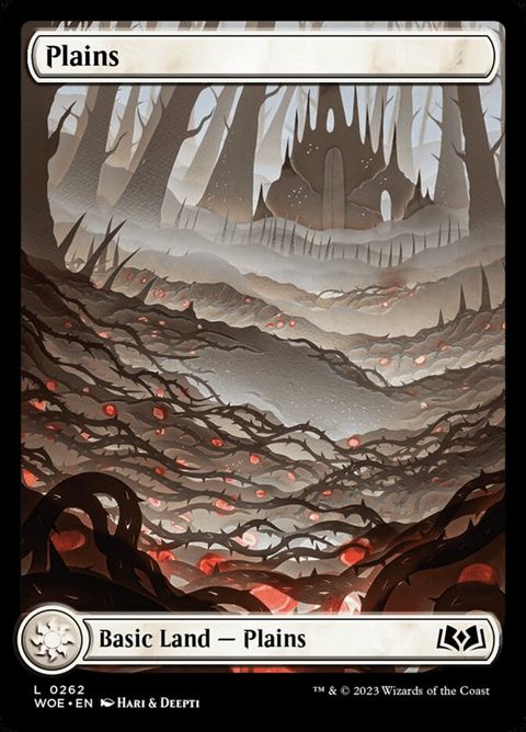 262-plains.jpg