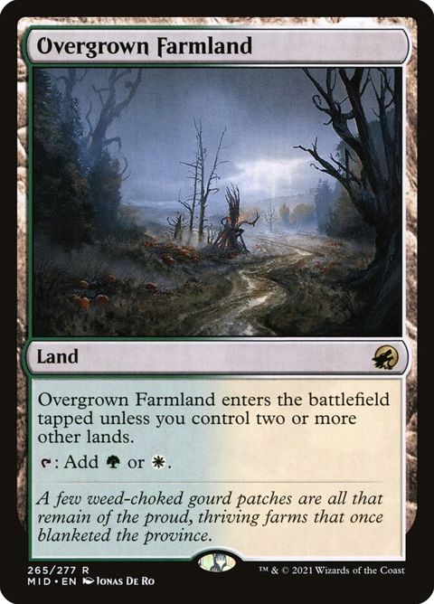 265-overgrownfarmland.jpg