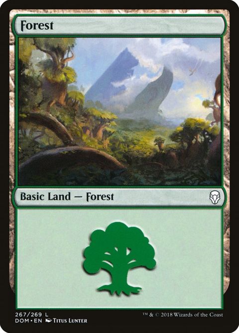 267-forest.jpg