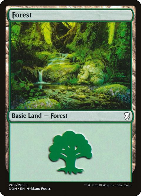 269-forest.jpg