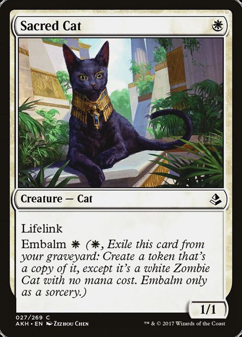 27-sacredcat.jpg