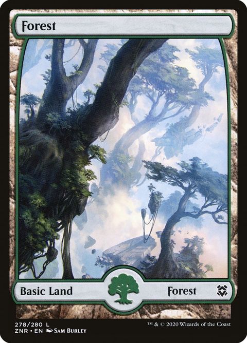278-forest.jpg