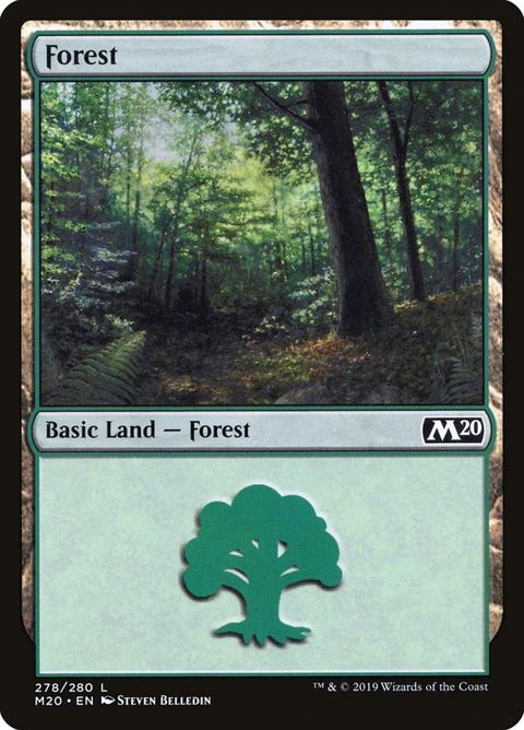 278-forest.jpg