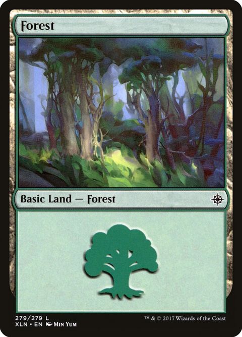 279-forest.jpg