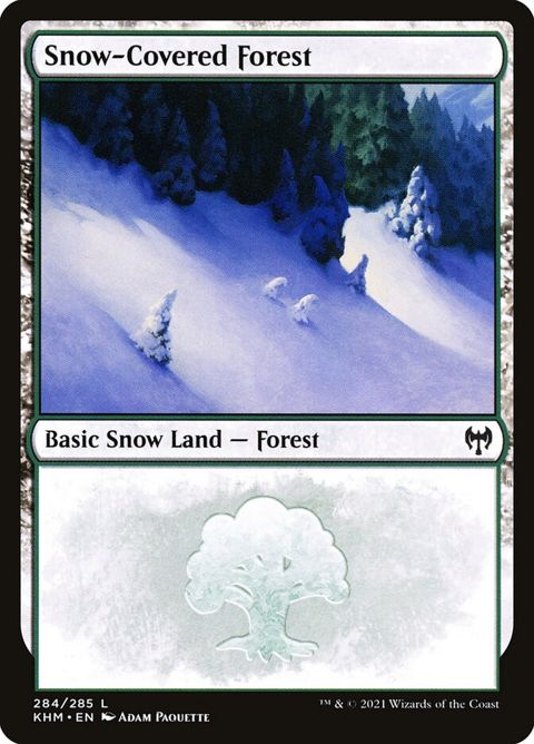 284-snowcoveredforest.jpg