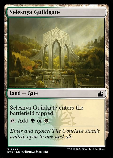 286-selesnyaguildgate.jpg
