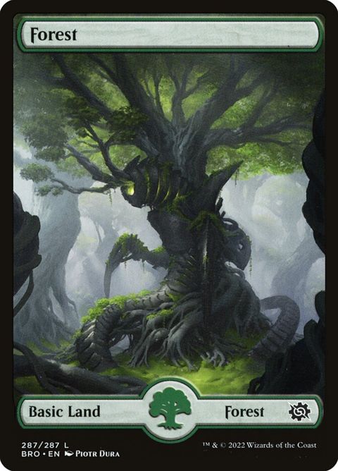 287-forest.jpg