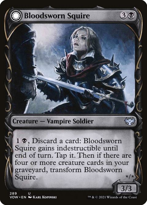 289-bloodswornsquirebloodswornknight-a.jpg