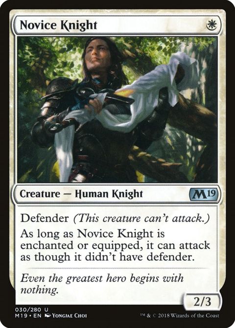 30-noviceknight.jpg