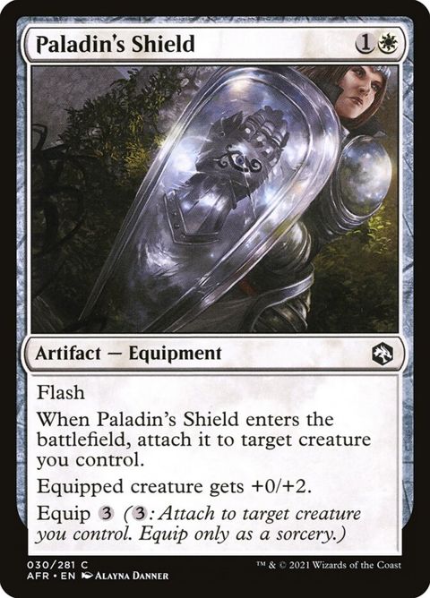 30-paladinsshield.jpg