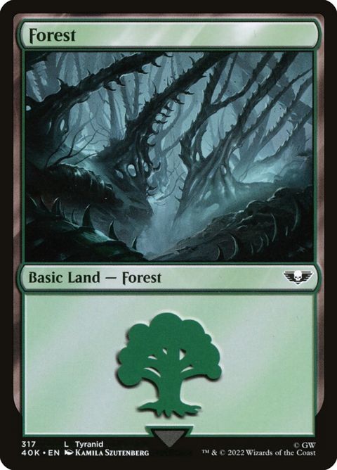 317-forest.jpg
