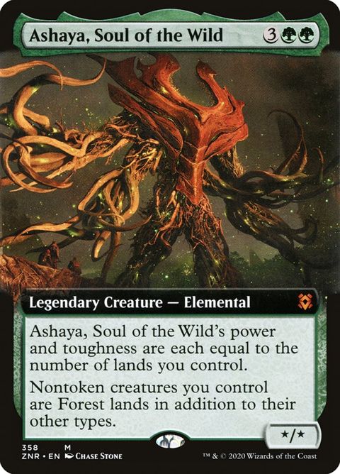 358-ashayasoulofthewild.jpg