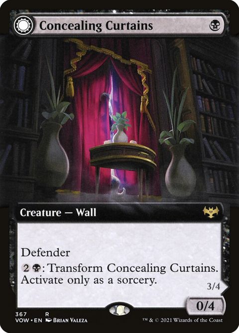 367-concealingcurtainsrevealingeye-a.jpg