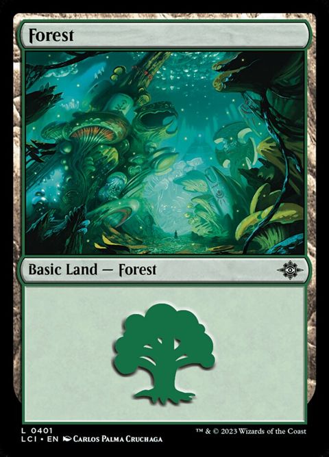 401-forest.jpg