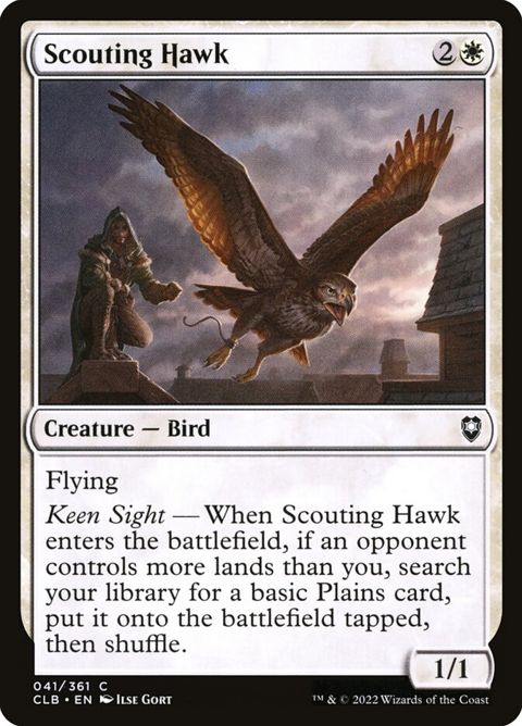 41-scoutinghawk.jpg