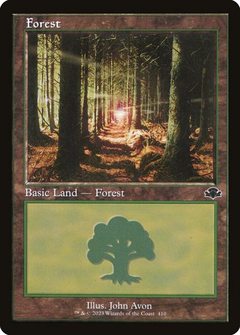 410-forest.jpg