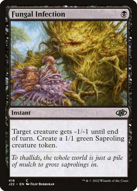 416-fungalinfection.jpg