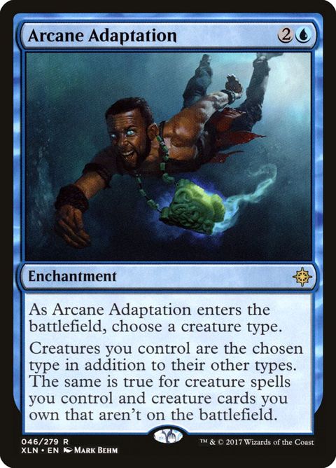 46-arcaneadaptation.jpg