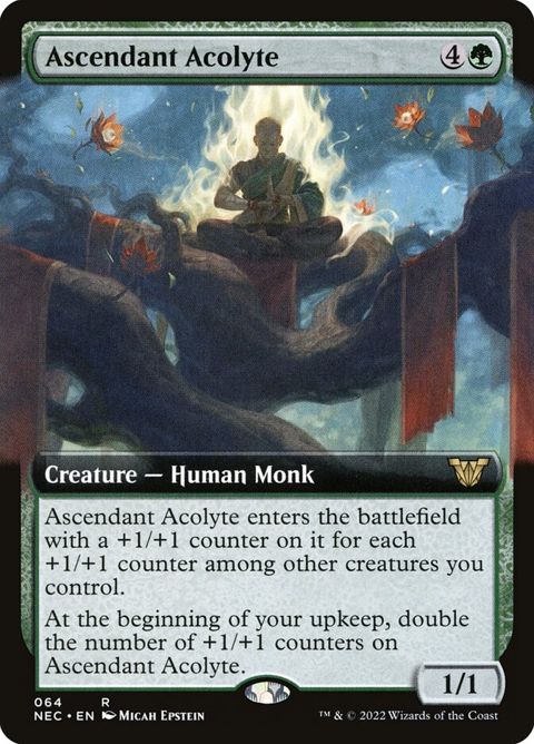 64-ascendantacolyte.jpg
