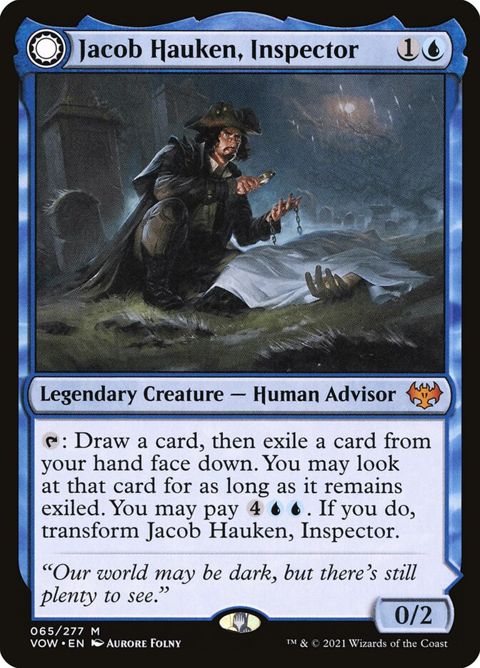 65-jacobhaukeninspectorhaukensinsight-a.jpg