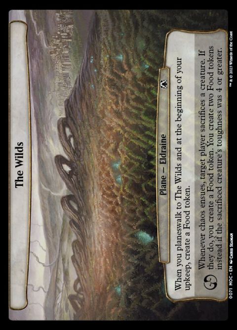 71-thewilds.jpg