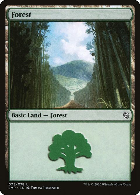 75-forest.jpg